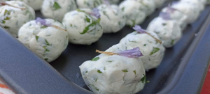 cuisiner les plantes sauvages