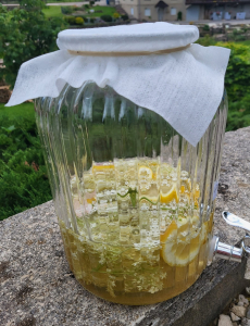 champagne des fées, printemps
