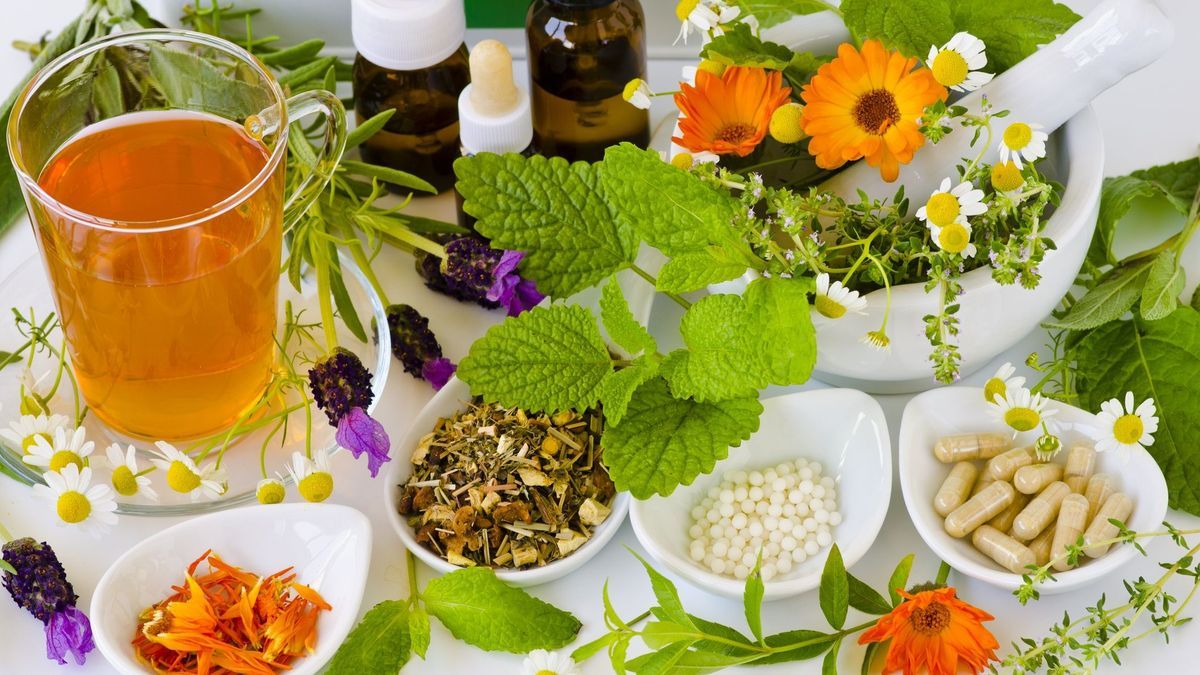 plantes,naturopathe